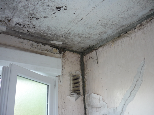 Traitement de la condensation Gamme CTA 3 Murprotec