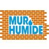 Mur Humide