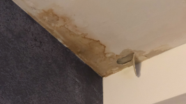 Dégâts des eaux et infiltrations en façade : sources et solutions