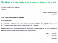 Déclaration de dégât des eaux au syndic : mettre et explication