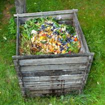 Faire du compost en immeuble : guide pratique