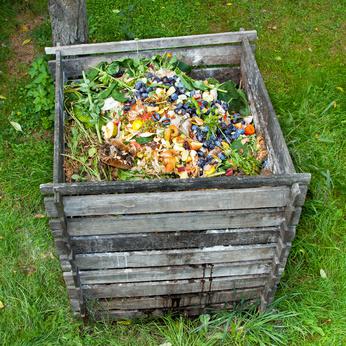 Faire du compost en immeuble : guide pratique