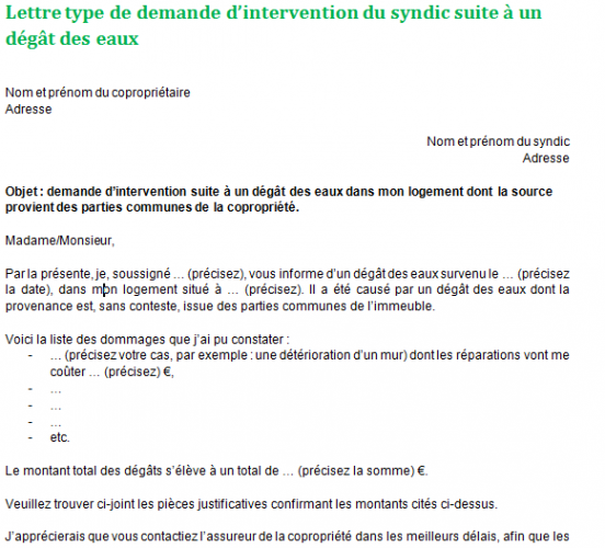 Demande d’intervention du syndic suite à un dégât des eaux lettre